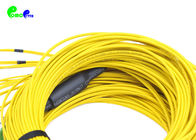 20 Fibers Pre - teminated MPO Trunk Cable SM MPO Female to E2000 APC 0.35dB Max Connector IL With Yellow Color